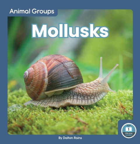 Cover image for book Mollusks