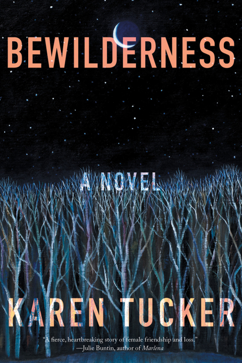 Cover image for book Bewilderness