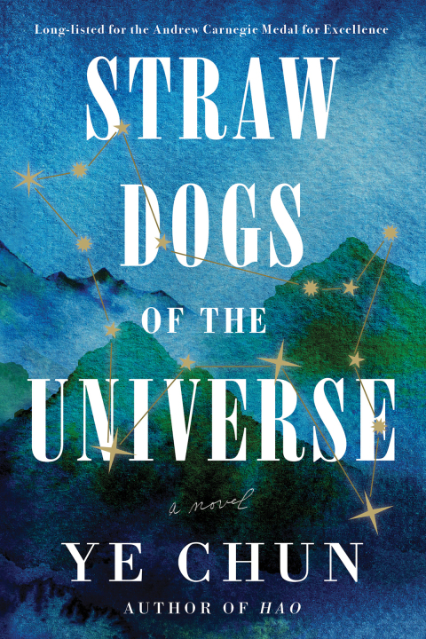 Cover image for book Straw Dogs of the Universe
