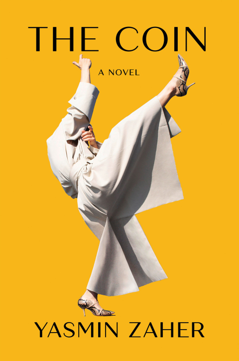 Cover image for book The Coin
