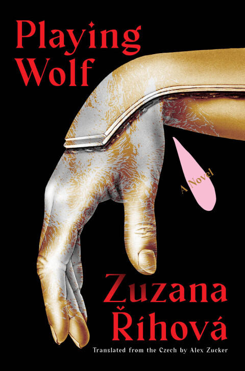 Cover image for book Playing Wolf