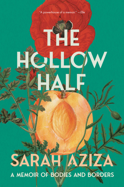 Cover image for book The Hollow Half