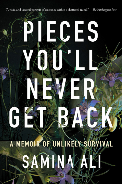 Cover image for book Pieces You'll Never Get Back