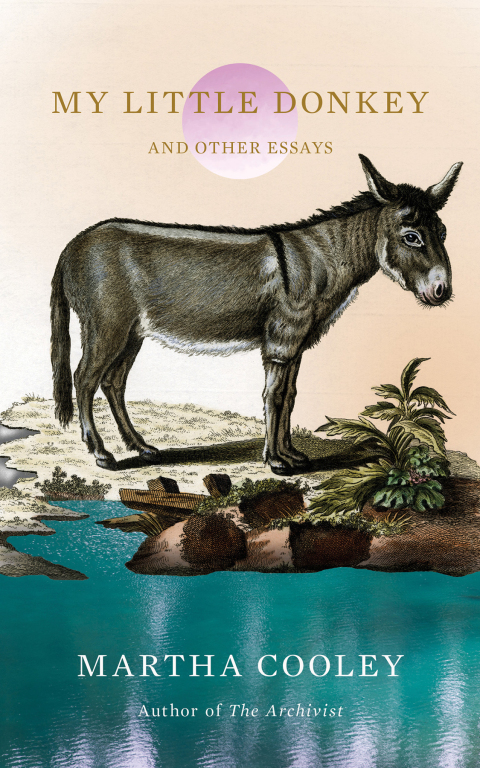 Cover image for book My Little Donkey