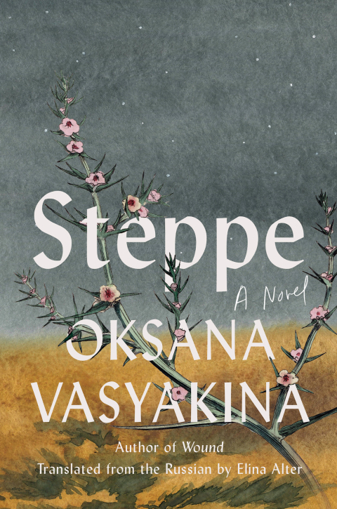 Cover image for book Steppe