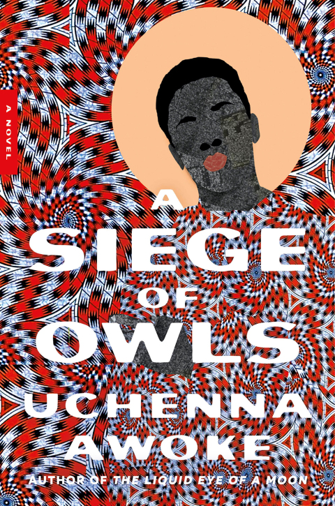 Cover image for book A Siege of Owls