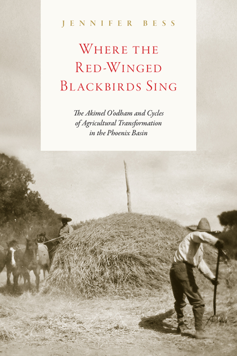 Cover image for book Where the Red-Winged Blackbirds Sing