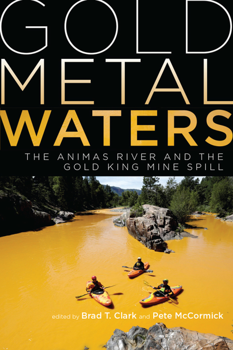 Cover image for book Gold Metal Waters