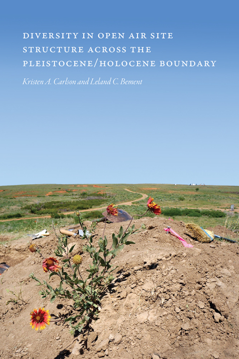 Cover image for book Diversity in Open-Air Site Structure across the Pleistocene/Holocene Boundary