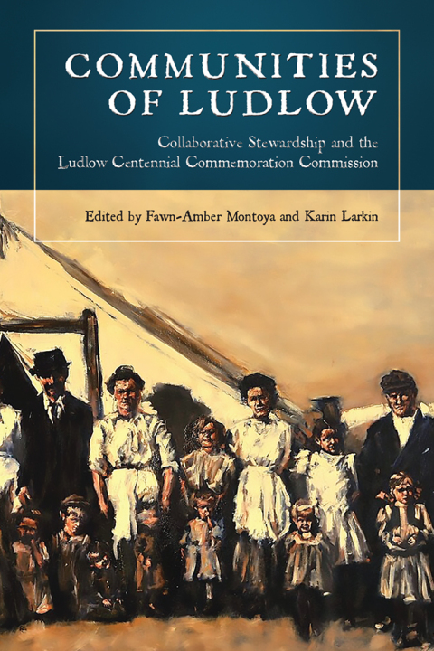 Cover image for book Communities of Ludlow