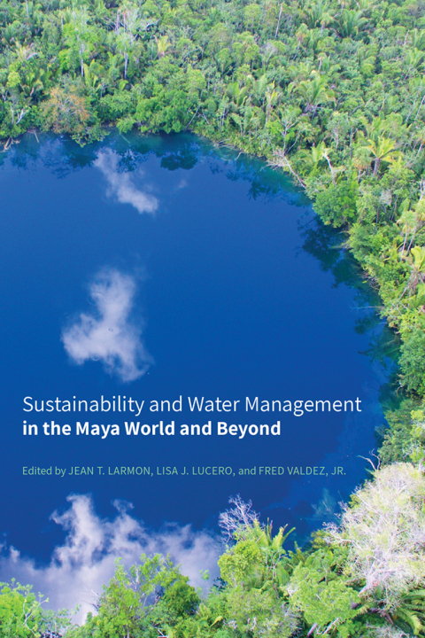 Cover image for book Sustainability and Water Management in the Maya World and Beyond