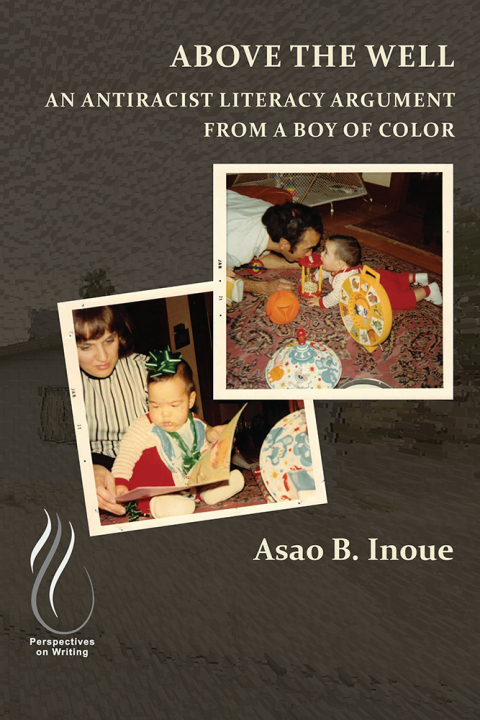 Cover image for book Above the Well