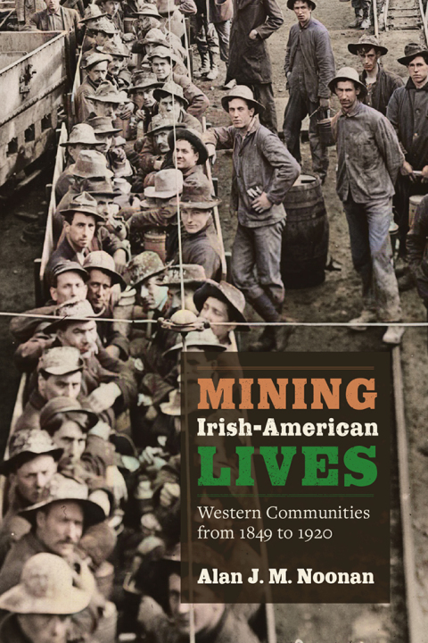 Cover image for book Mining Irish-American Lives