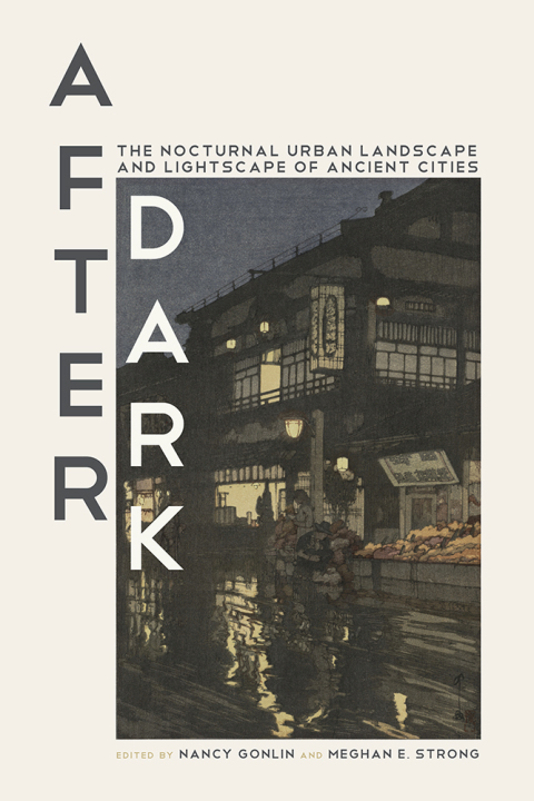 Cover image for book After Dark
