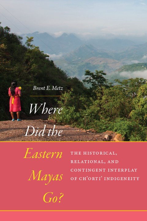 Cover image for book Where Did the Eastern Mayas Go?