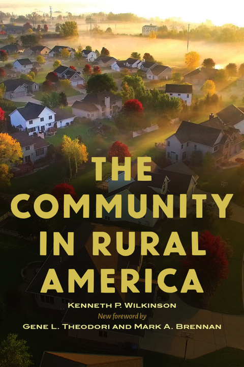 Cover image for book The Community in Rural America