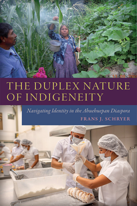 Cover image for book The Duplex Nature of Indigeneity