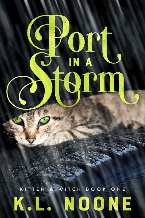 Cover image for book Port in the Storm
