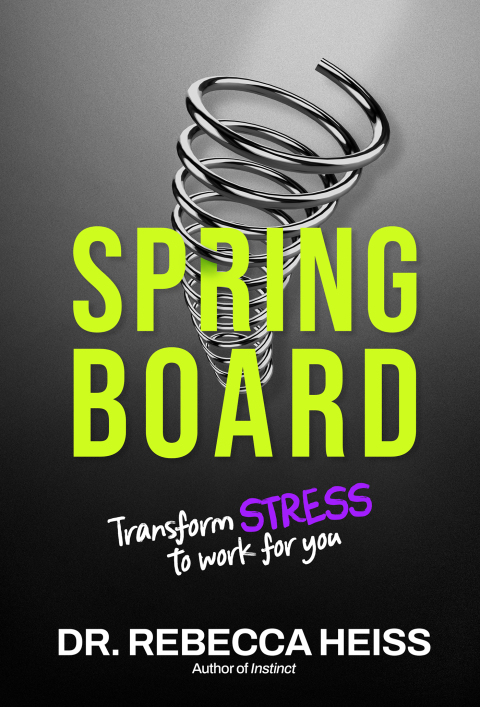 Cover image for book Springboard