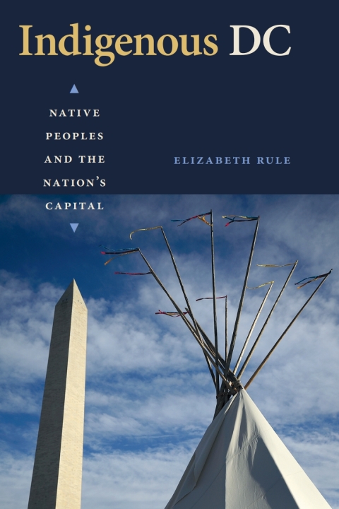 Cover image for book Indigenous DC