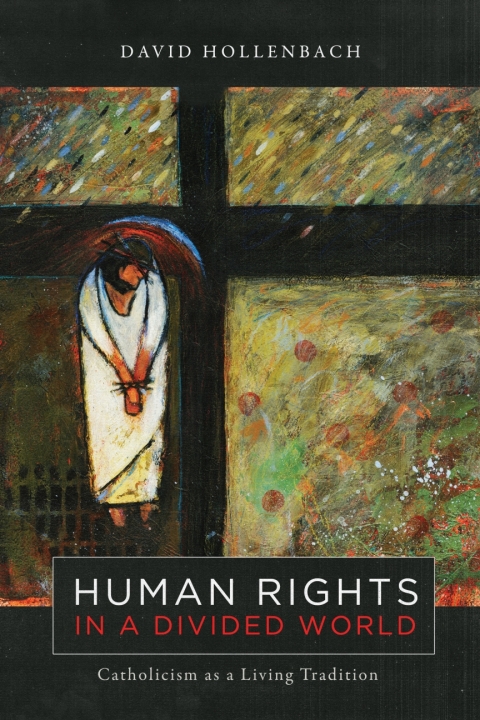 Cover image for book Human Rights in a Divided World