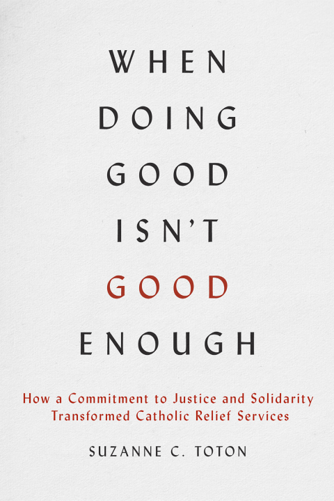 Cover image for book When Doing Good Isn't Good Enough