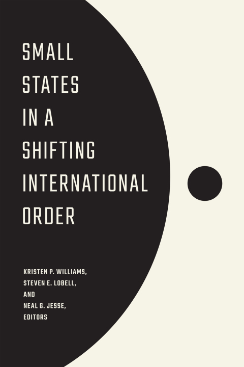 Cover image for book Small States in a Shifting International Order