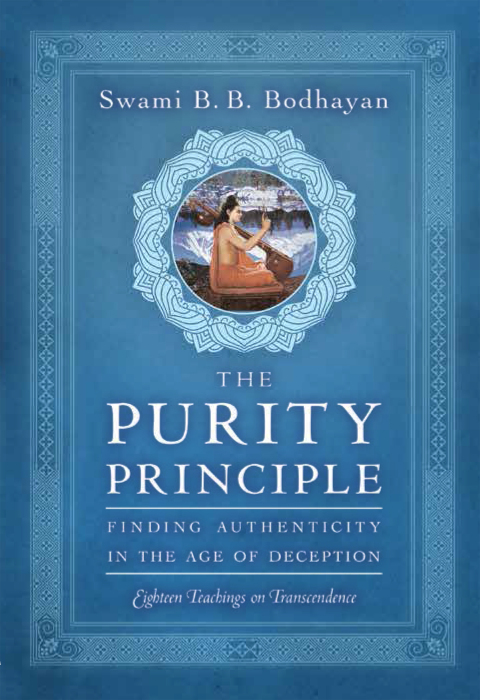 Cover image for book The Purity Principle