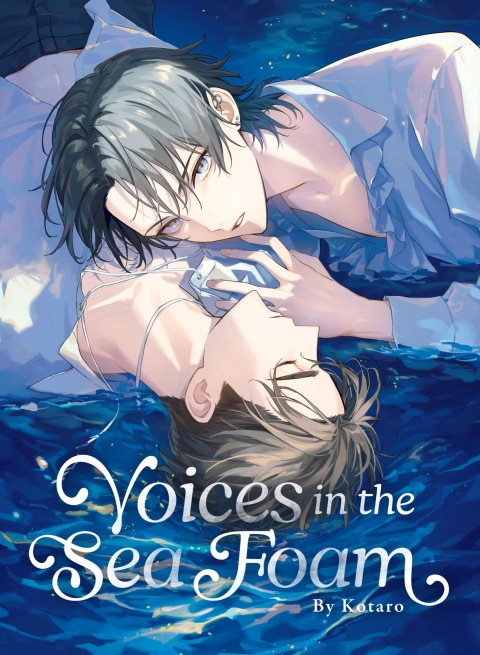 Cover image for book Voices in the Sea Foam