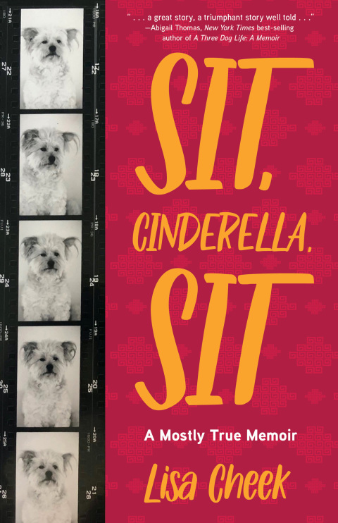 Cover image for book Sit, Cinderella, Sit