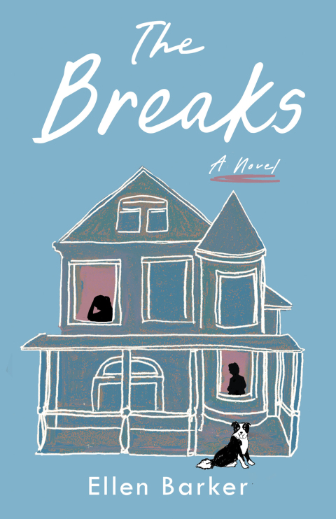 Cover image for book The Breaks