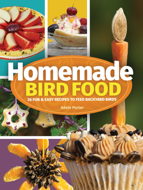 Cover image for book Homemade Bird Food