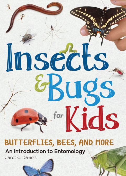 Cover image for book Insects & Bugs for Kids