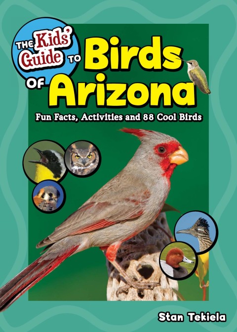 Cover image for book The Kids' Guide to Birds of Arizona