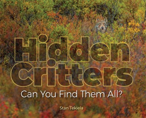 Cover image for book Hidden Critters
