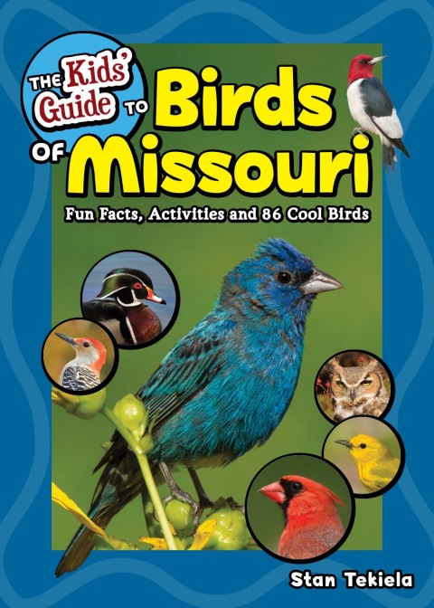 Cover image for book The Kids' Guide to Birds of Missouri