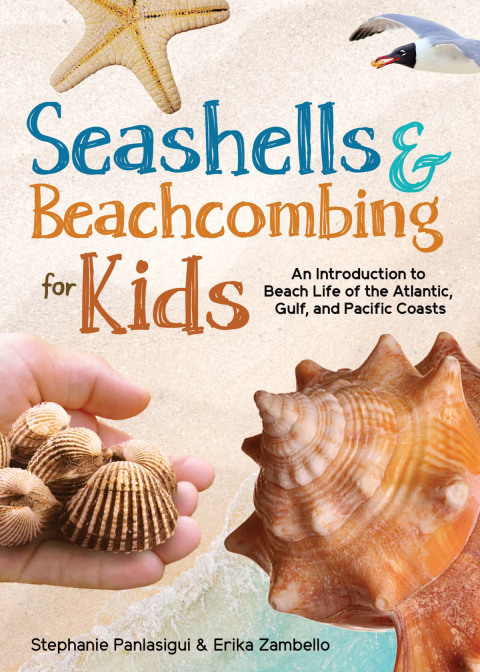 Cover image for book Seashells & Beachcombing for Kids