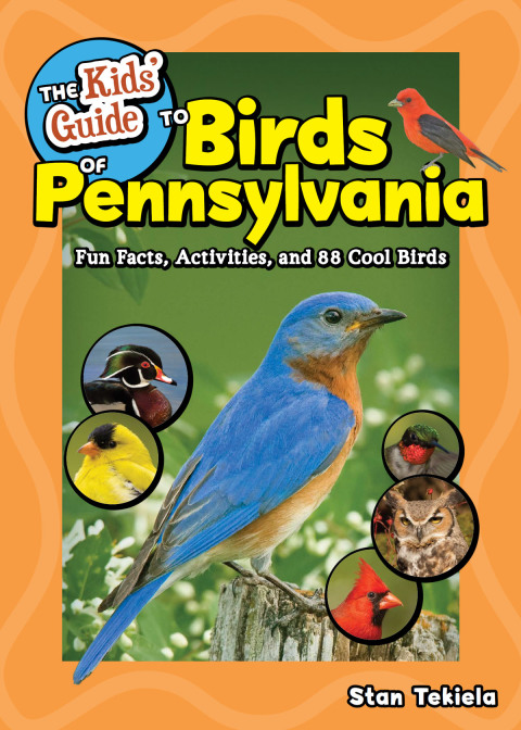 Cover image for book The Kids' Guide to Birds of Pennsylvania