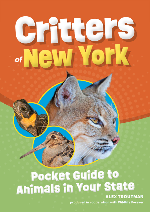 Cover image for book Critters of New York