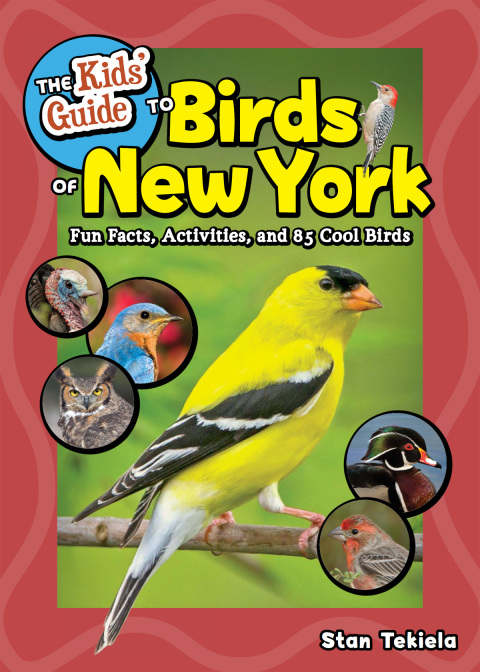 Cover image for book The Kids' Guide to Birds of New York