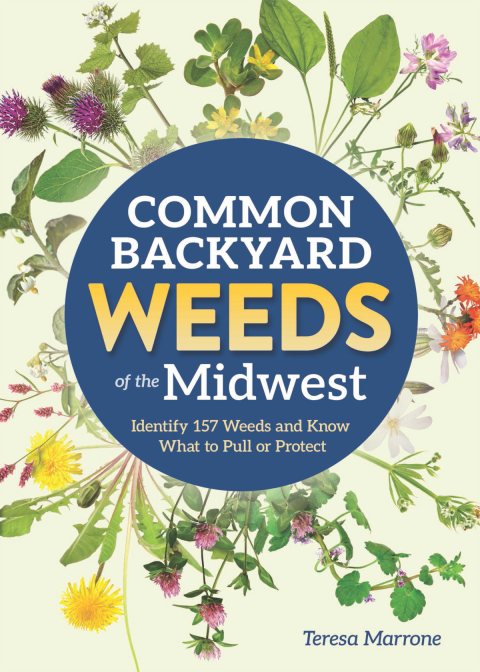 Cover image for book Common Backyard Weeds of the Midwest