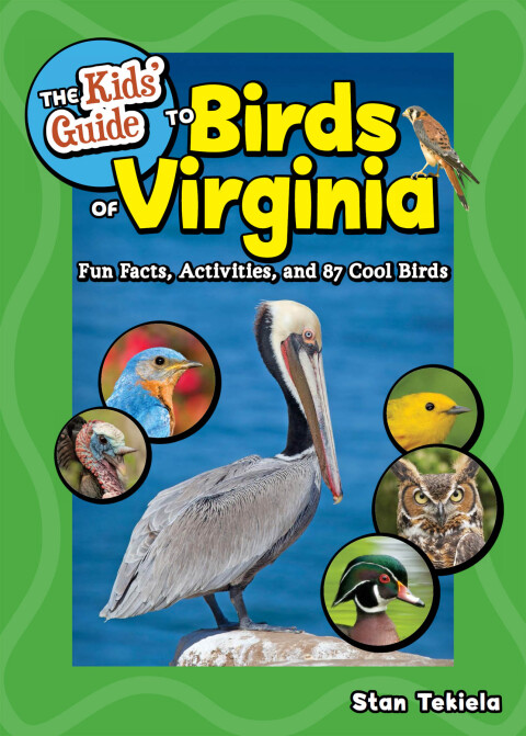 Cover image for book The Kids' Guide to Birds of Virginia