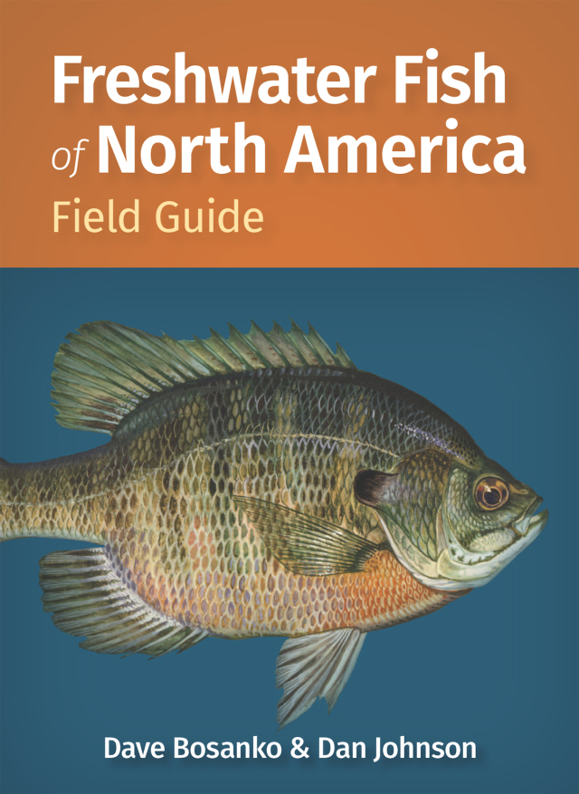 Freshwater Fish of North America Field Guide