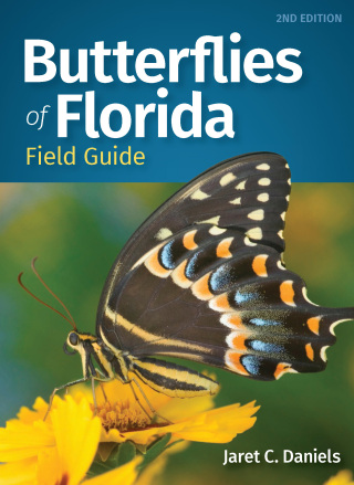 Butterflies of Florida Field Guide