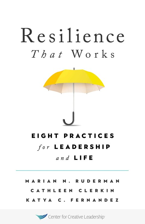 Cover image for book Resilience That Works: Eight Practices for Leadership and Life