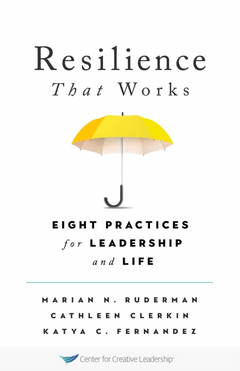 Cover image for book Resilience That Works: Eight Practices for Leadership and Life
