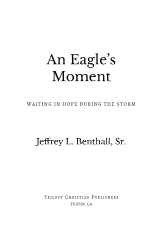 An Eagle's Moment