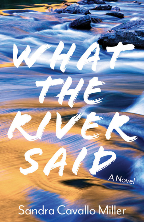 Cover image for book What the River Said