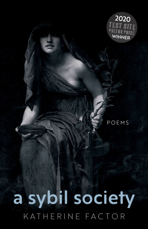 Cover image for book A Sybil Society