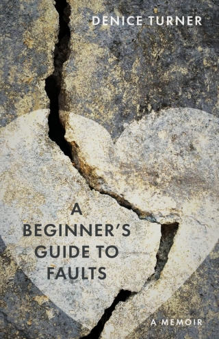 A Beginner's Guide to Faults